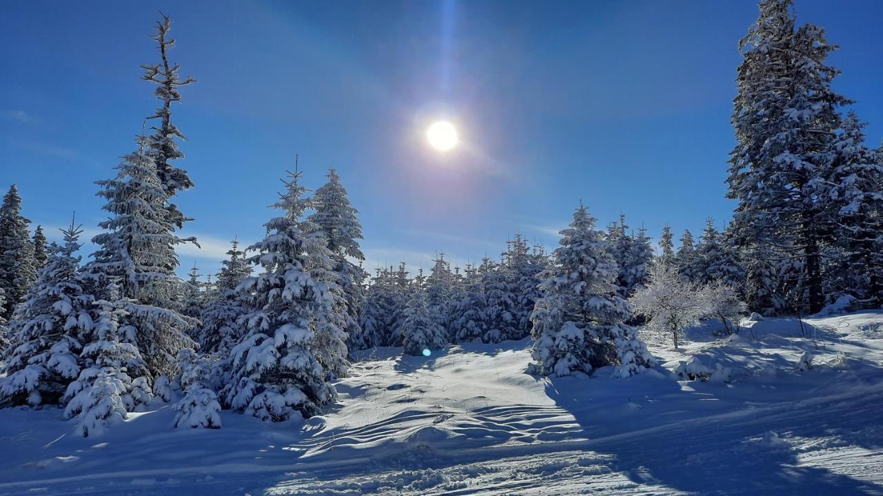 Belle Air Lodge Mönichkirchen Eksteriør bilde
